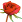 Smiley rose Smiley rose